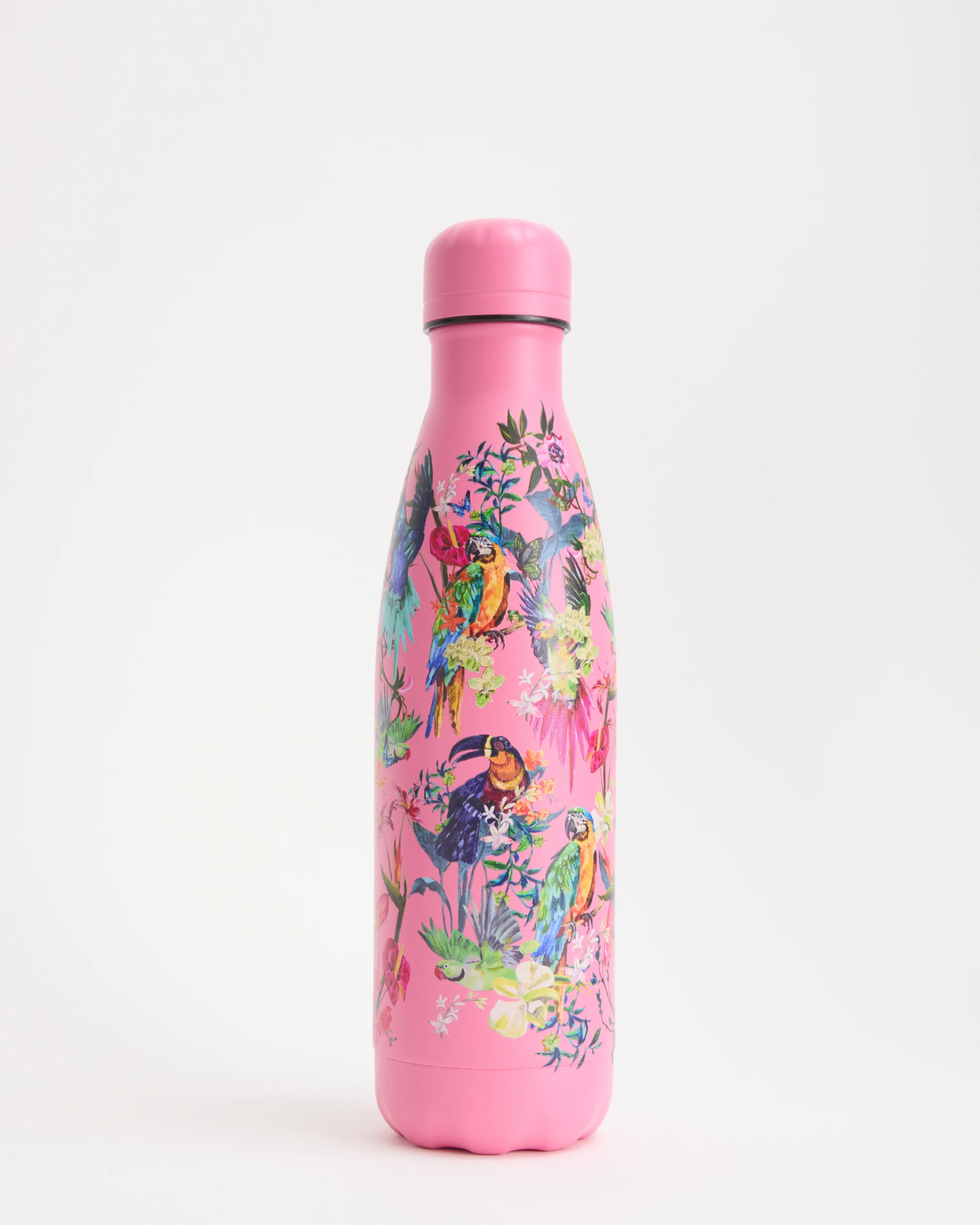 Macaw Madness Water Bottle - Image 3